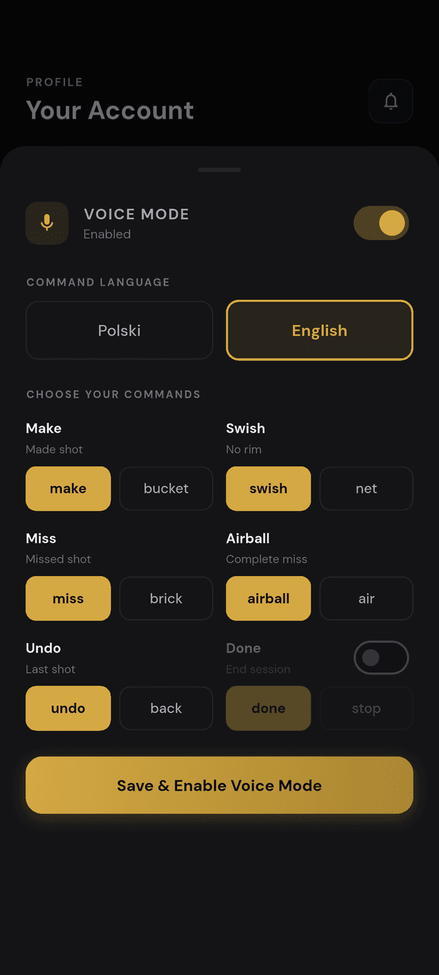 Hooplytics Pro — voice mode